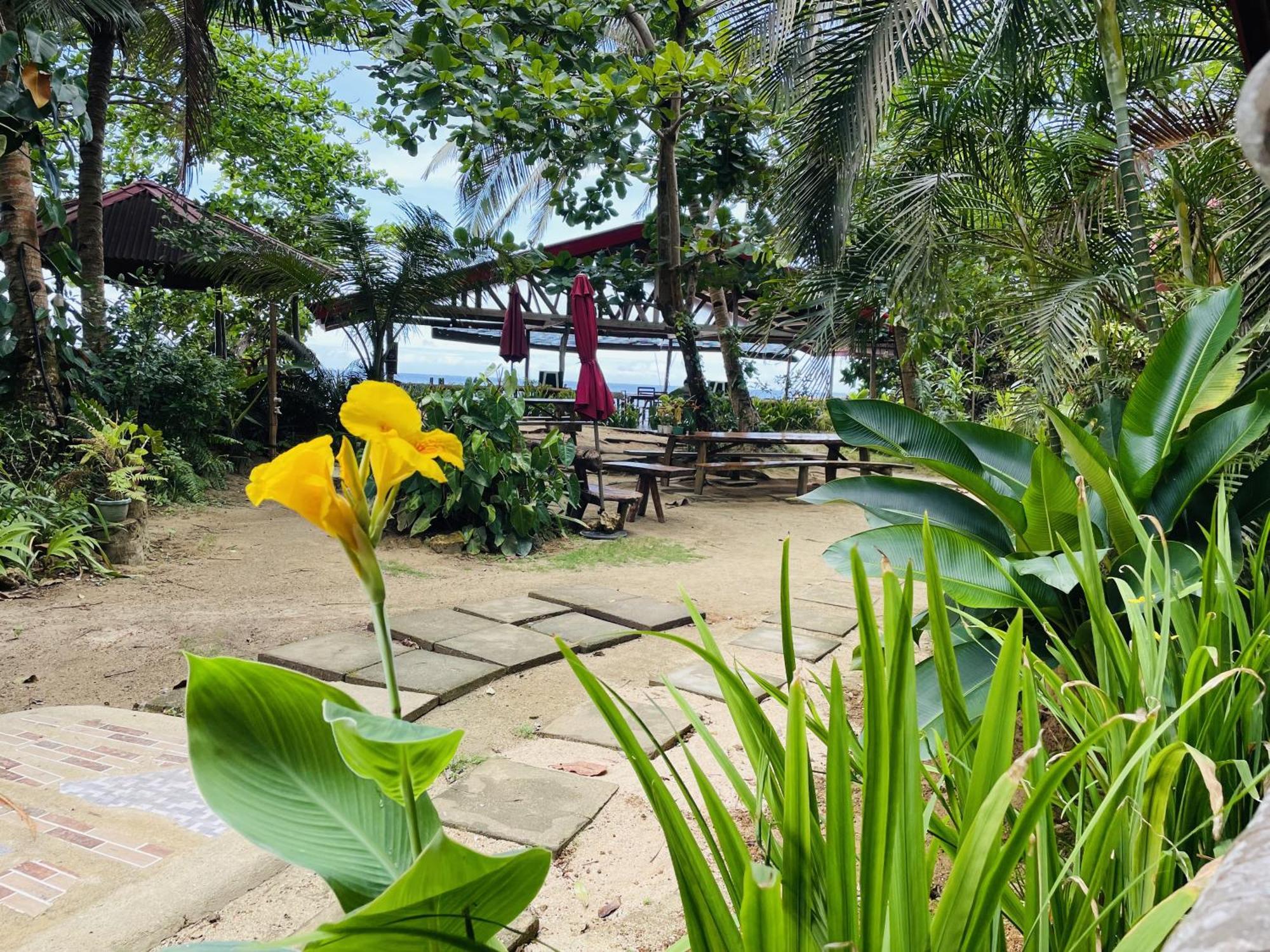 White Beach Front And Cottages Buruanga Exteriér fotografie